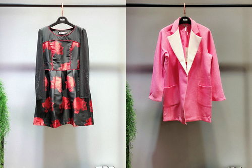 2018鑫羽格品牌女装 休闲时尚连衣裙精品货源深度解析